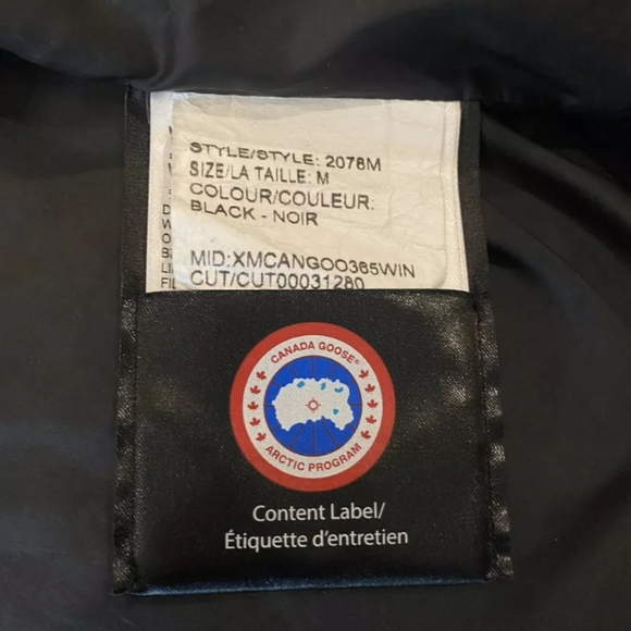 Canada goose - Picture 7 of 8